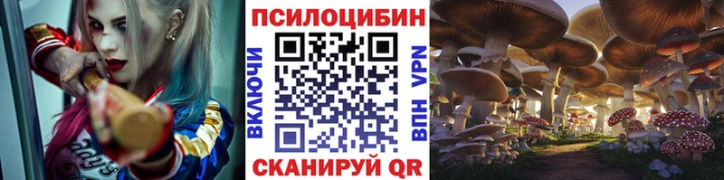 Галлюциногенные грибы ЛСД  Купить  Старица 